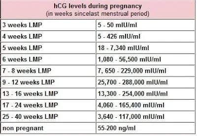 beta hcg test normal range|Everything About HCG Levels in Pregnancy .